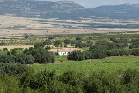 Paisaje de la finca