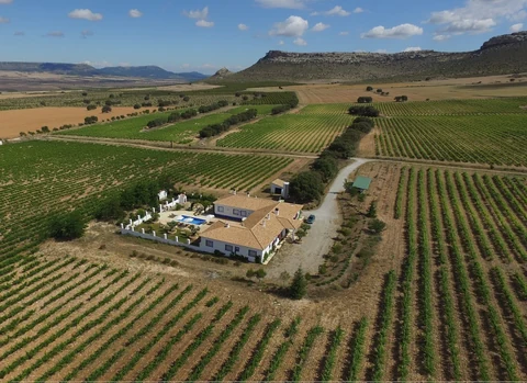 The estate from above