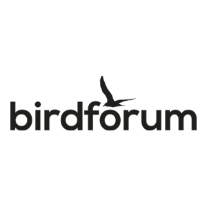 BirdForum