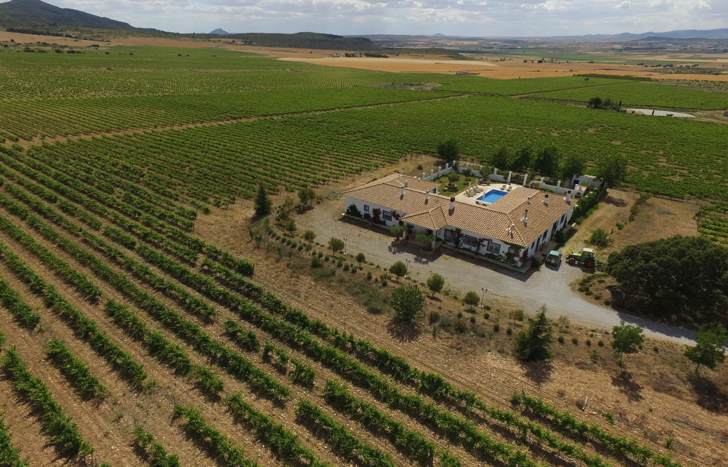 Vista aérea de El Romeral rodeado de viñedos en Alpera