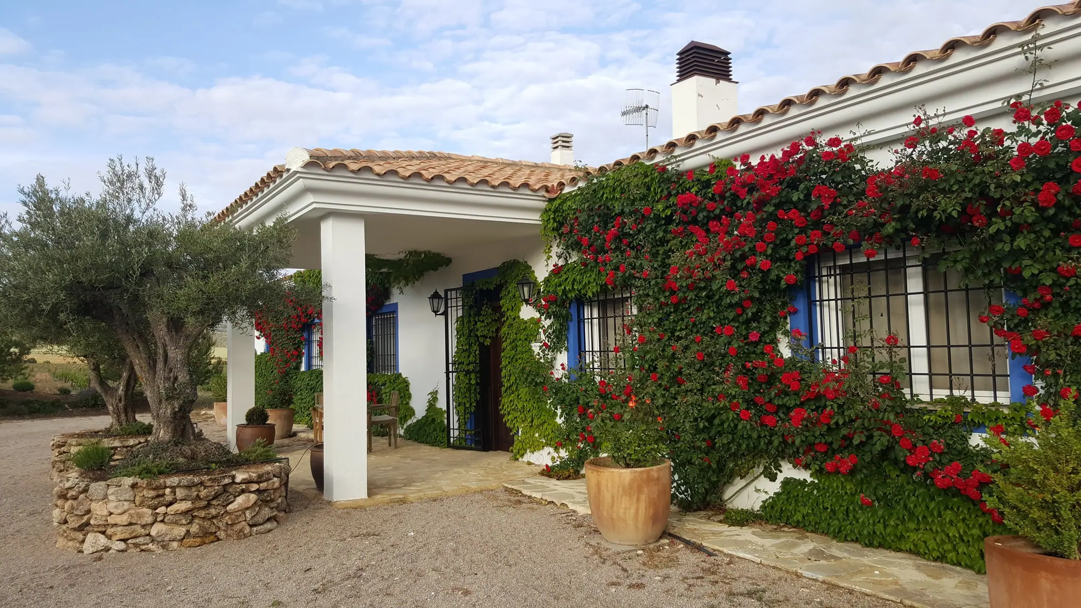 Fachada de El Romeral cubierta de rosales